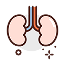 016-kidneys